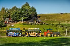 AgroKucyk - Mini Zoo w Inwałdzie